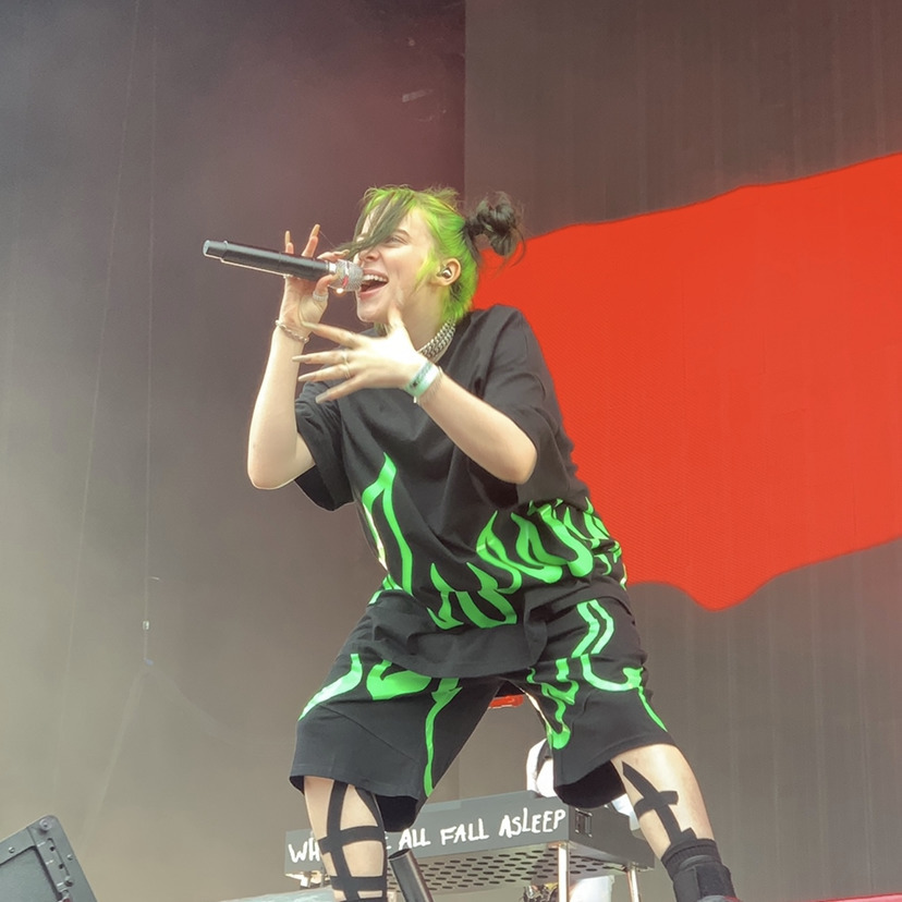 Billie Eilish's Concert & Tour History Concert Archives