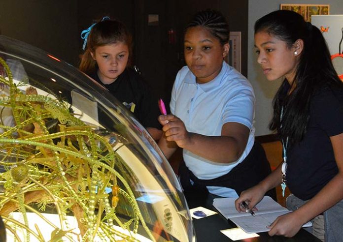 GRPS_Museum_School_1_1