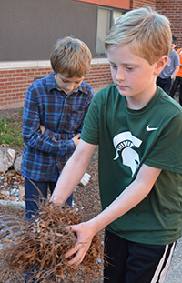 Student Cameron Myershelps clear leaves from the rain garden