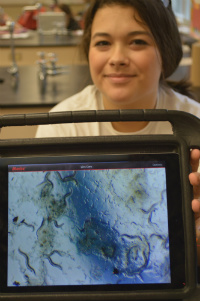 Senior Tiana-Marie Peavey shows a microscopic image of C. elegans roundworms