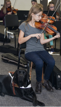 Julia's classmates have to refrain from petting her guide dog Duncan, despite his friendly demeaner