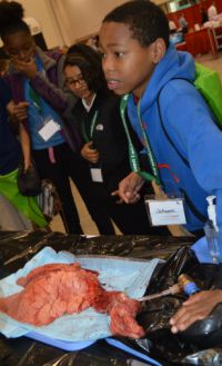 Sherwood Park Global Studies Academy sixth-grader Jaheem Aubrey works to inflate a heart and lungs