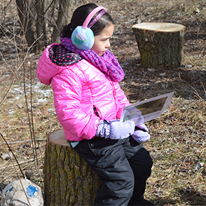 Stumps are the outdoor learning classroom seats