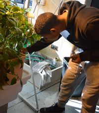 Mykal Green tests pH levels