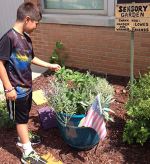 The garden contains a variety of plants hardy enough for curious students to touch