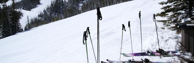 Boyne and Powdr join ski teams