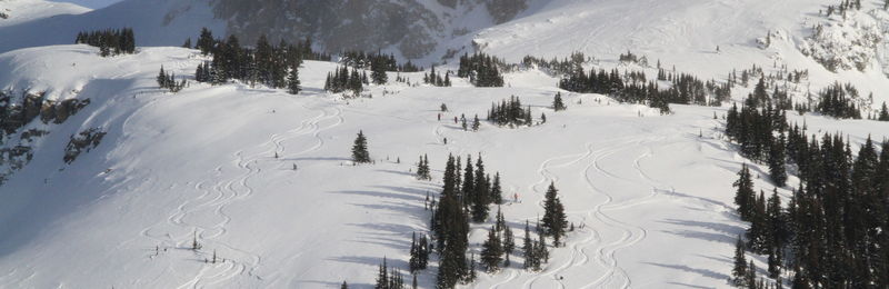 Eagle Pass Heli Skiing review