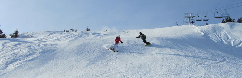 Skiers versus Snowboarders at Alta