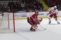 15300526_1270889439634807_212040209_n