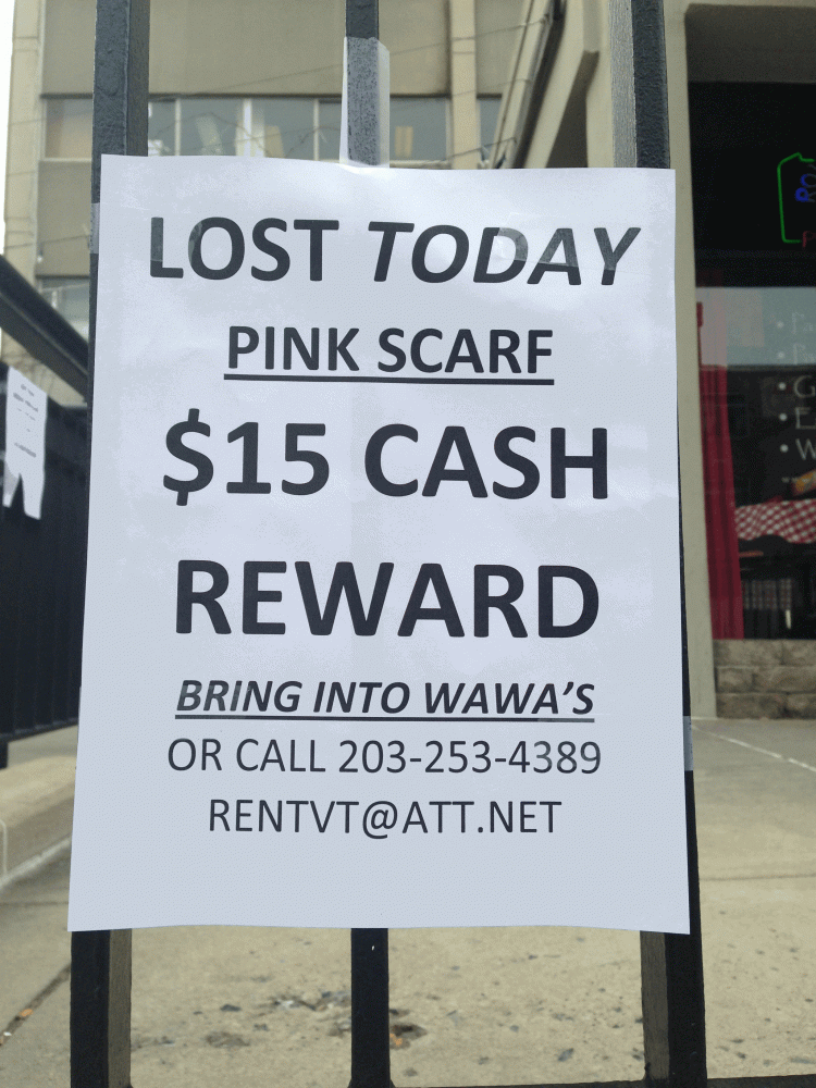 Help! Lost Scarf!