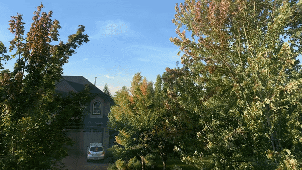 West Coast Wildfire Transition.gif