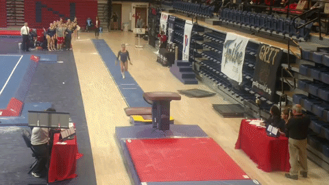 Gymnastics