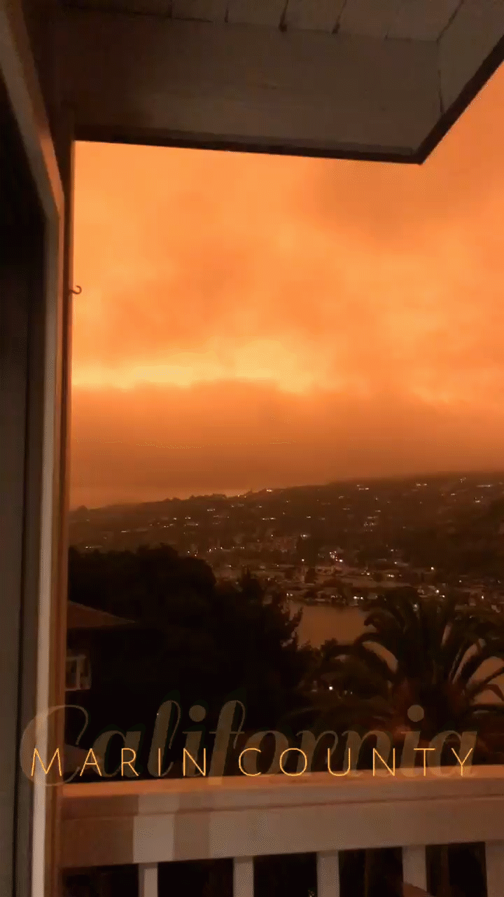 Wildfire Snapchat.gif