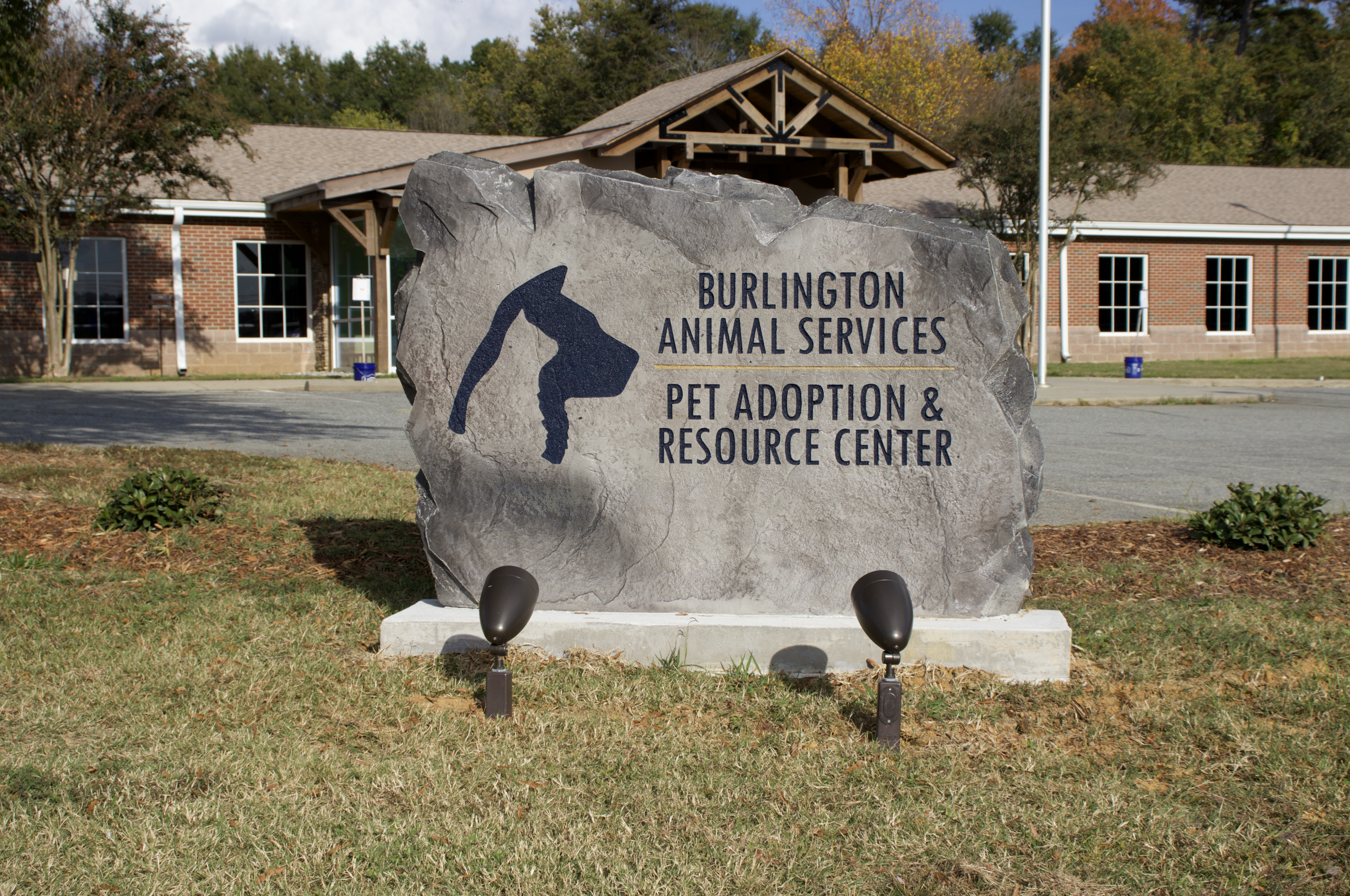 Burlington Animal Services Sees Increase In Fostering Elon News Network