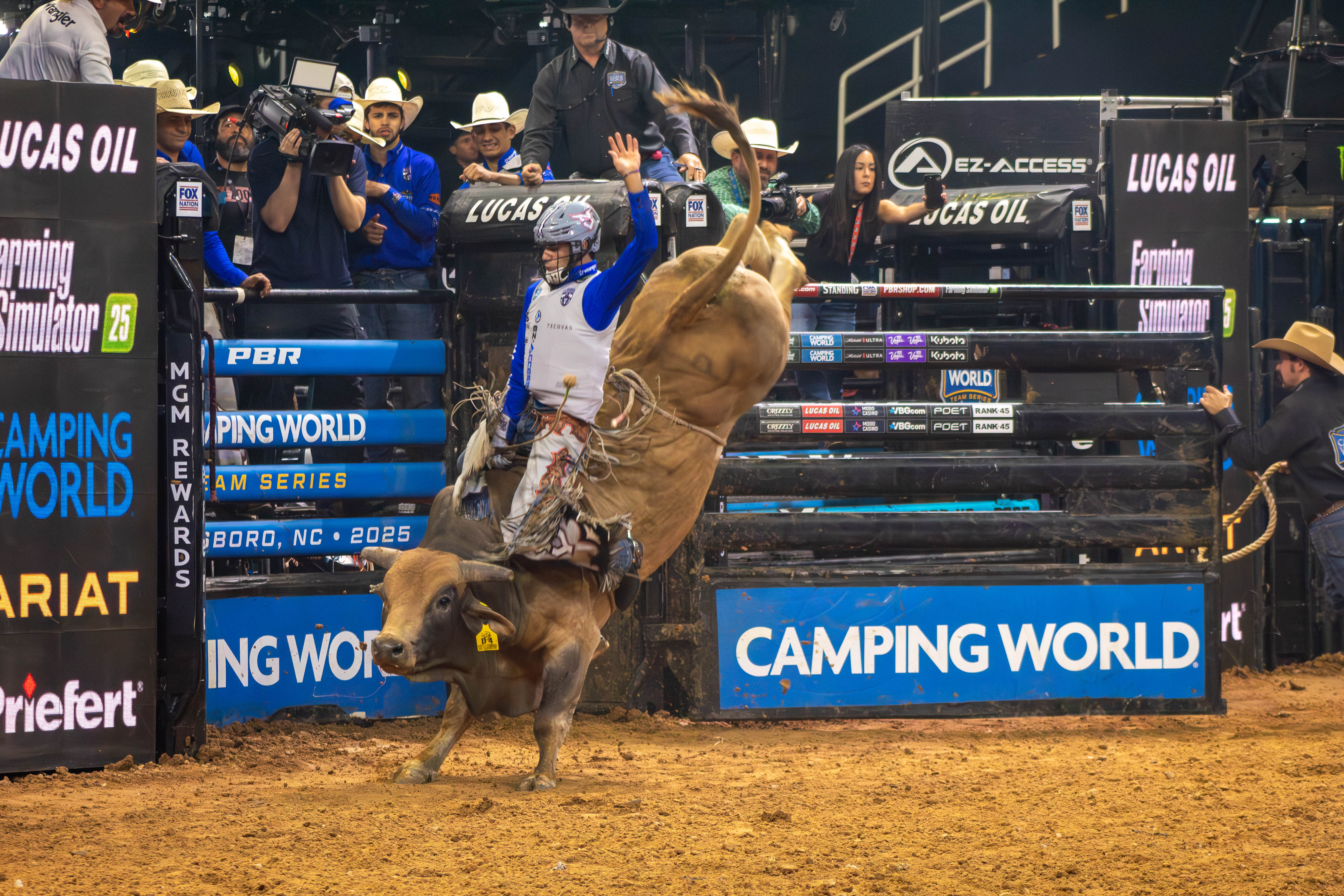 Code Blue Pbr Bull