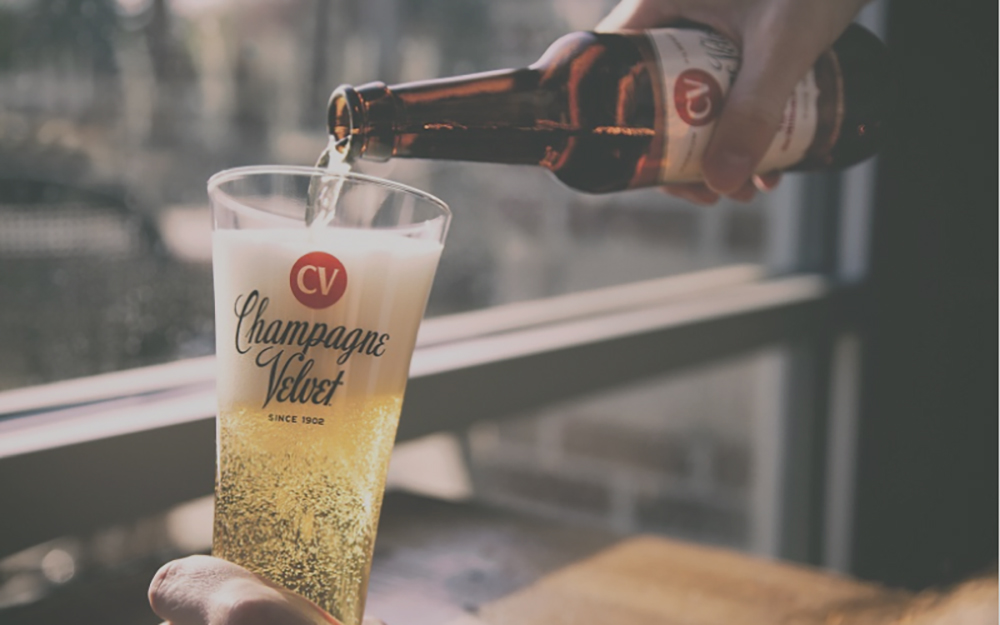 cvglassweb