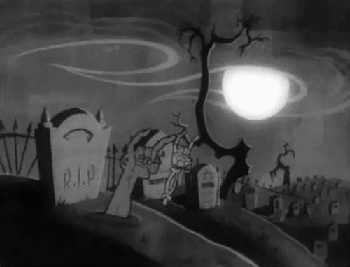 tumblr_n1dk70bBYi1t04x43o1_500