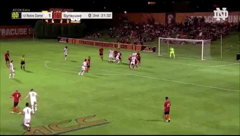 NOTRE DAME GOAL 2.gif