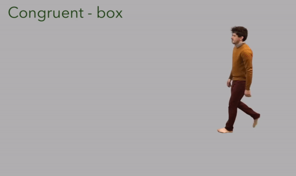 COURTESY OF CHAZ FIRESTONE &amp; PAT LITTLE
Study participants answered whether the line shown matched the orientation of the surface that Firestone mimed interacting with.&nbsp;
