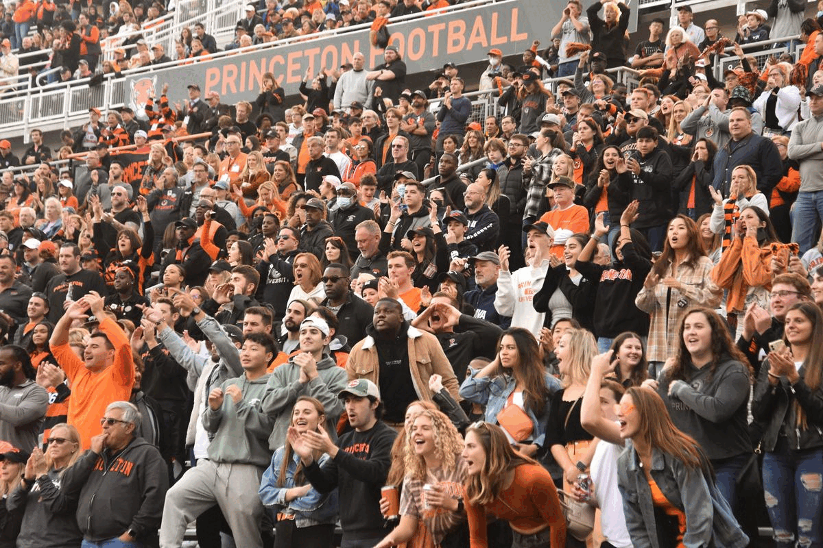 dom_media.gif