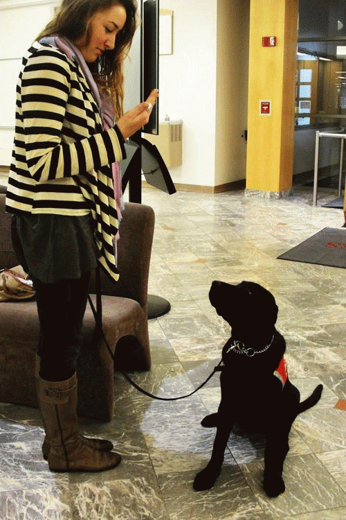 Sarah Cesler and Kashi “study” in King Library. 