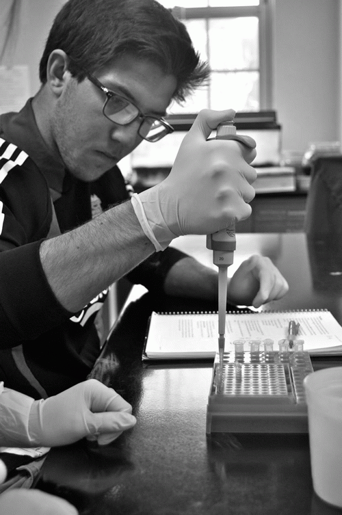 With in person classes canceled for the rest of the semester, students have adapted to hands on learning on an online platform. 