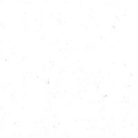 Patricia S. Profile Photo