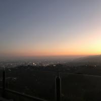 Ally K. Profile Photo