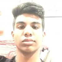 Sanjeev N. Profile Photo