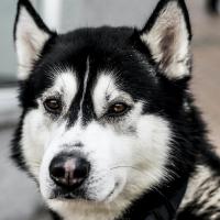 Ann Marie  M. Profile Photo