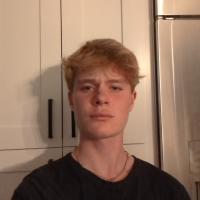 Noah A. Profile Photo