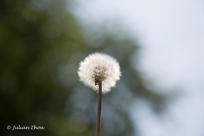 Canon EOS 5D Mark III - EF24-105mm f/4L IS USM