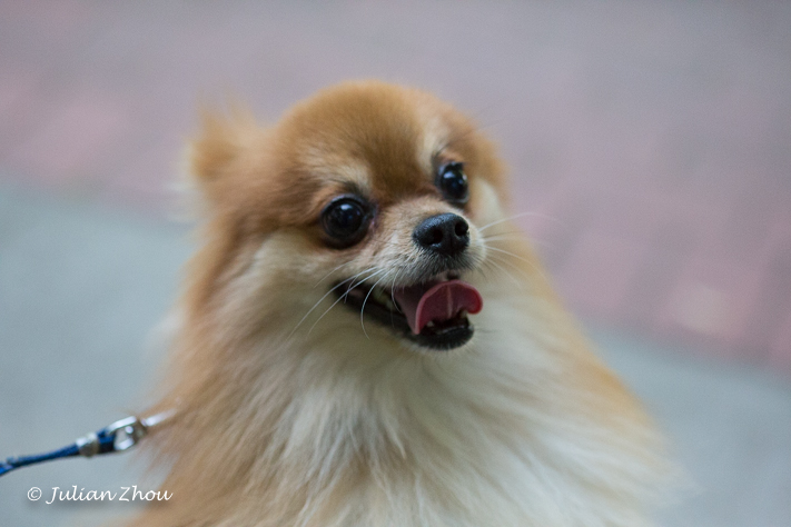 Canon EOS 5D Mark III - 105mm