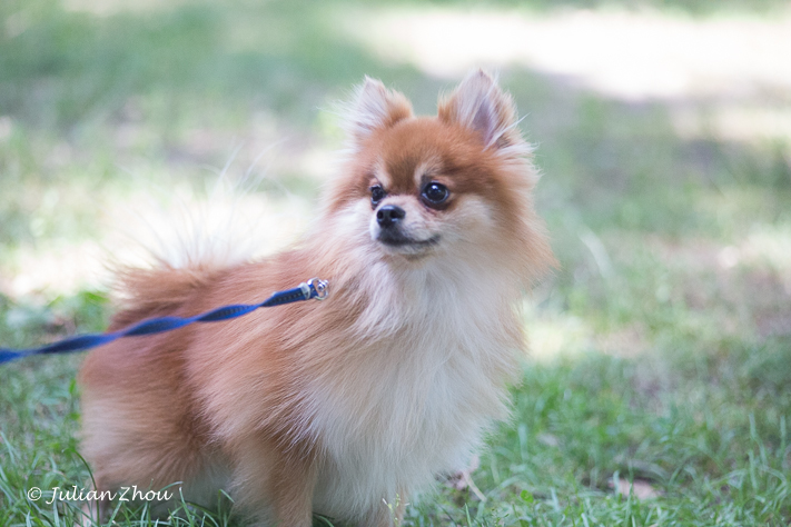 Canon EOS 5D Mark III - 105mm