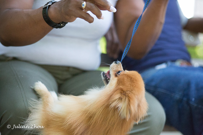 Canon EOS 5D Mark III - 105mm