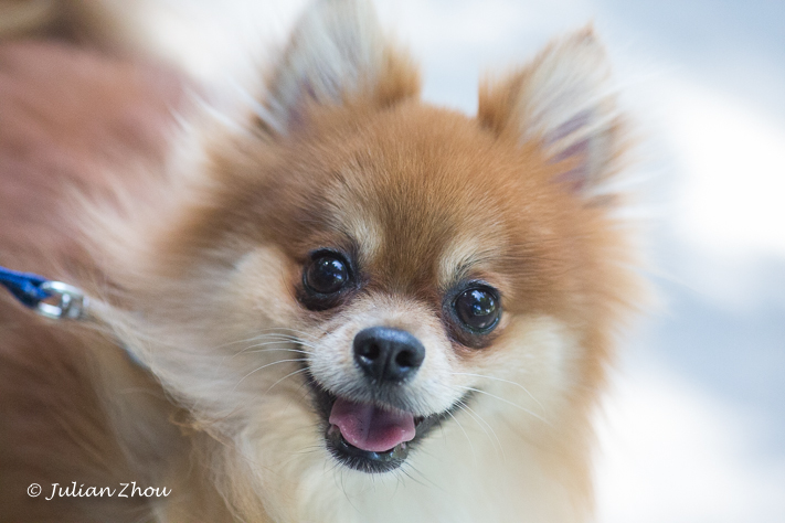 Canon EOS 5D Mark III - 105mm