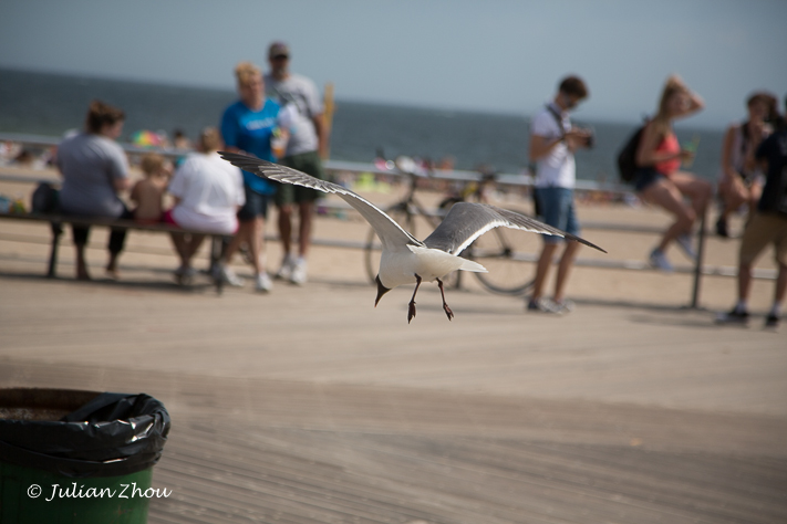 Canon EOS 5D Mark III - EF24-105mm f/4L IS USM