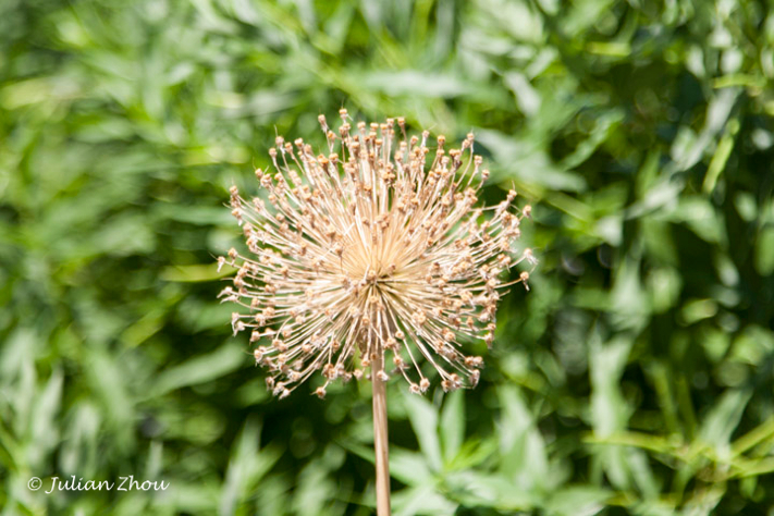 Canon EOS DIGITAL REBEL XS - EF24-105mm f/4L IS USM