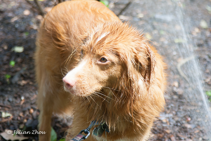 Canon EOS DIGITAL REBEL XS - EF24-105mm f/4L IS USM
