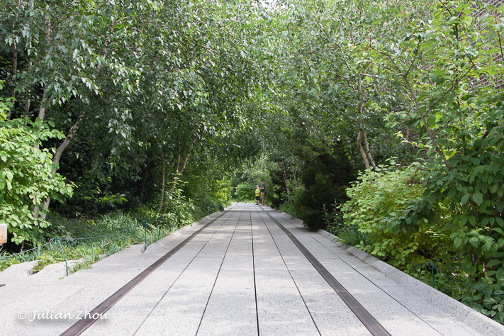 Canon EOS DIGITAL REBEL XS - EF24-105mm f/4L IS USM