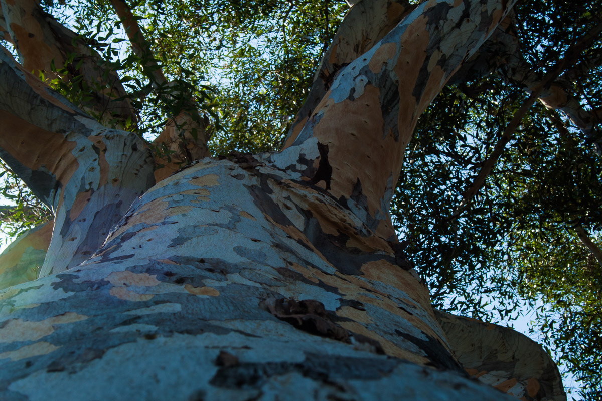 Preview of Emily 's photography website