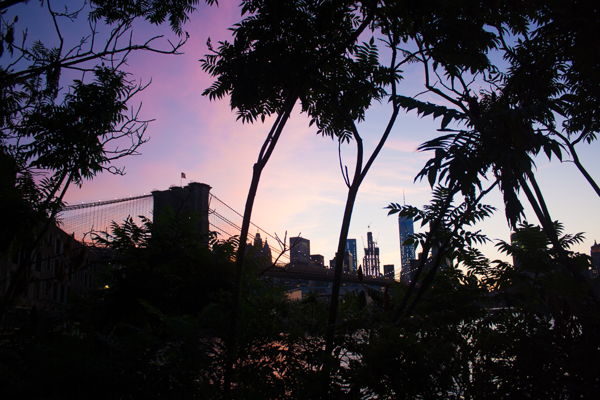Preview of Juliette's photography website