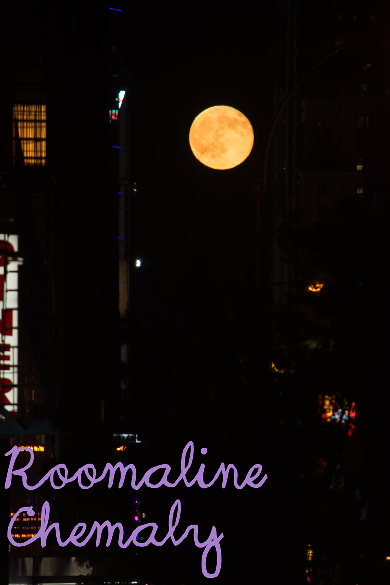Preview of Roomaline's photography website