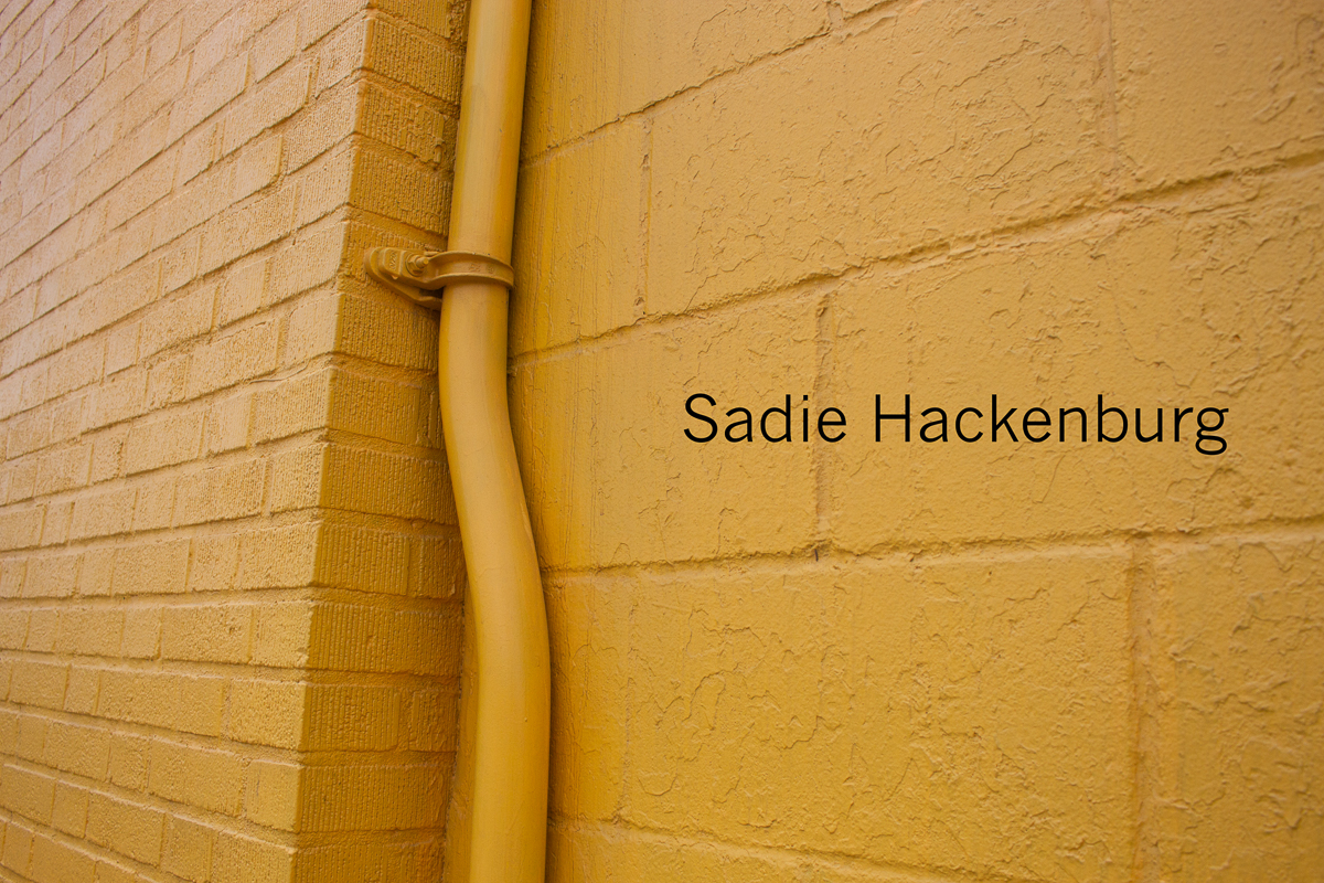Preview of Sadie's photography website