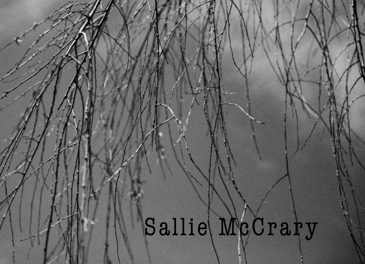 Preview of Sallie's photography website