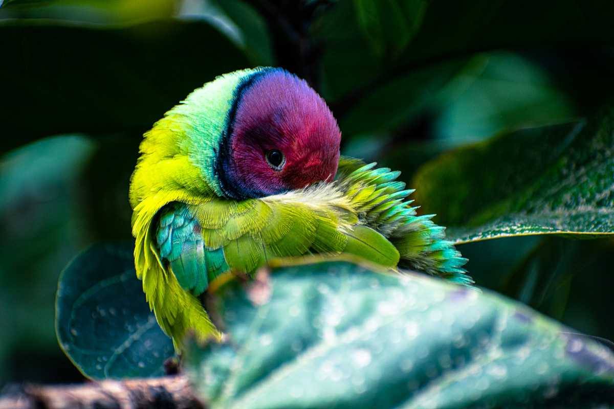 Preview of Jack's photography website