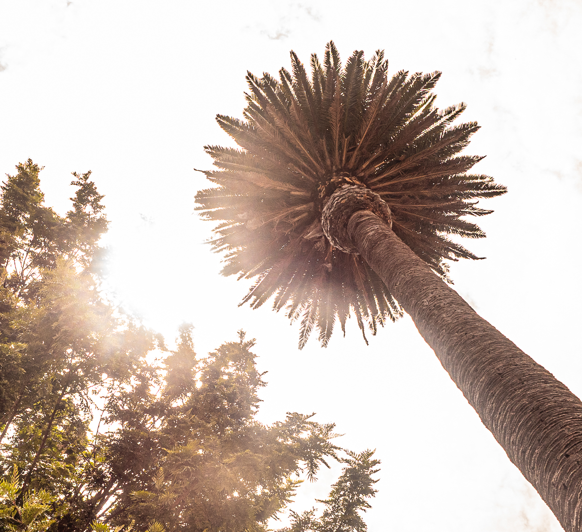 Preview of Setia's photography website