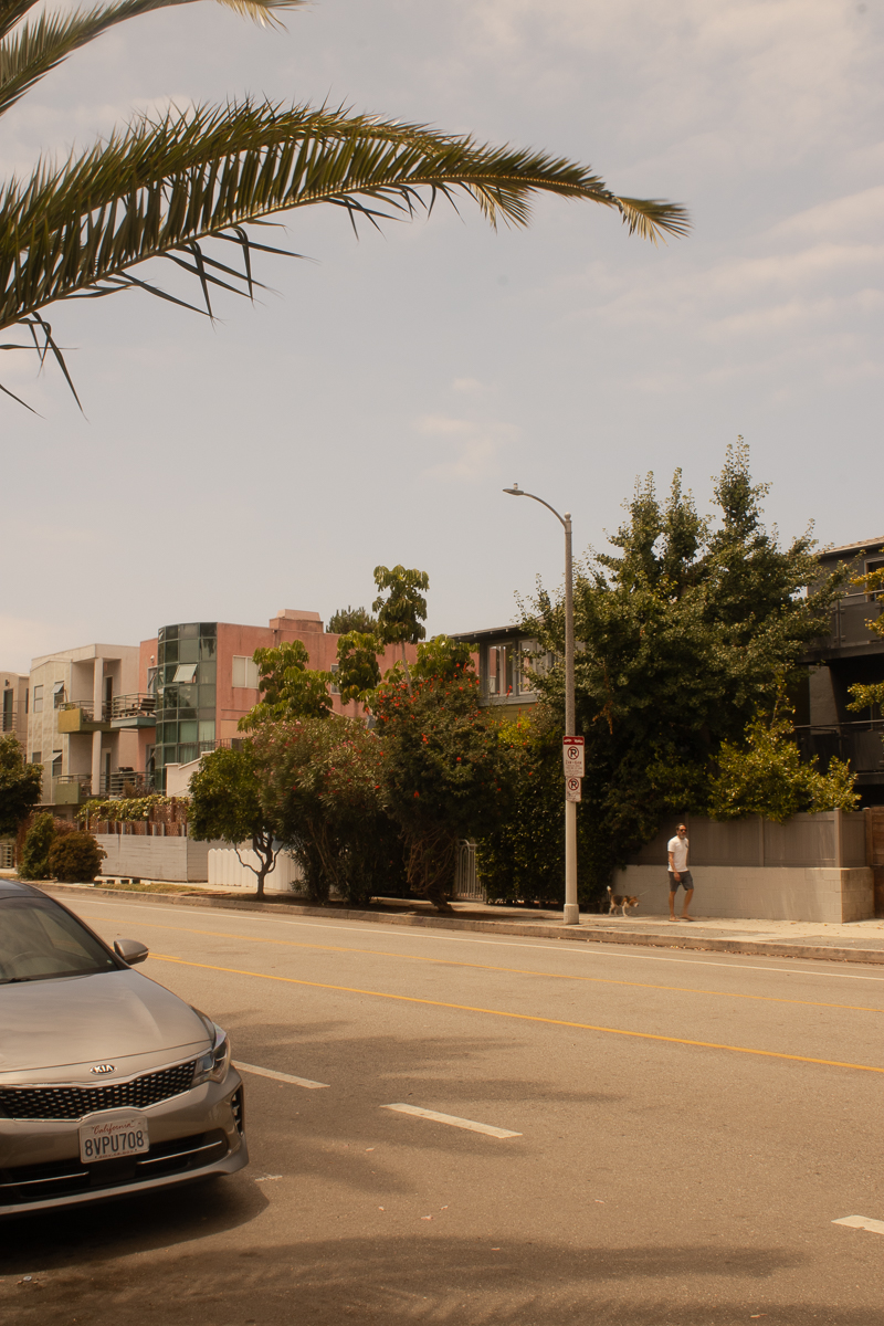 Preview of Mica's photography website