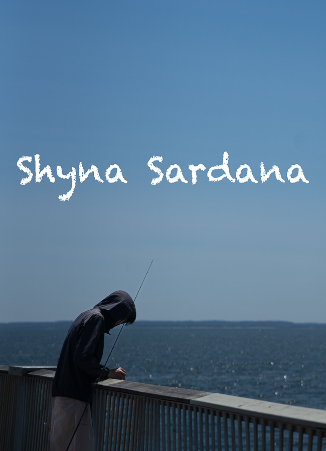 Preview of Shyna's photography website
