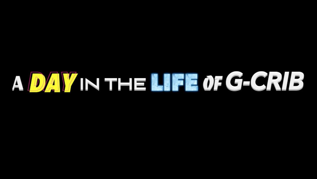 Poster for a day in the life of g crib